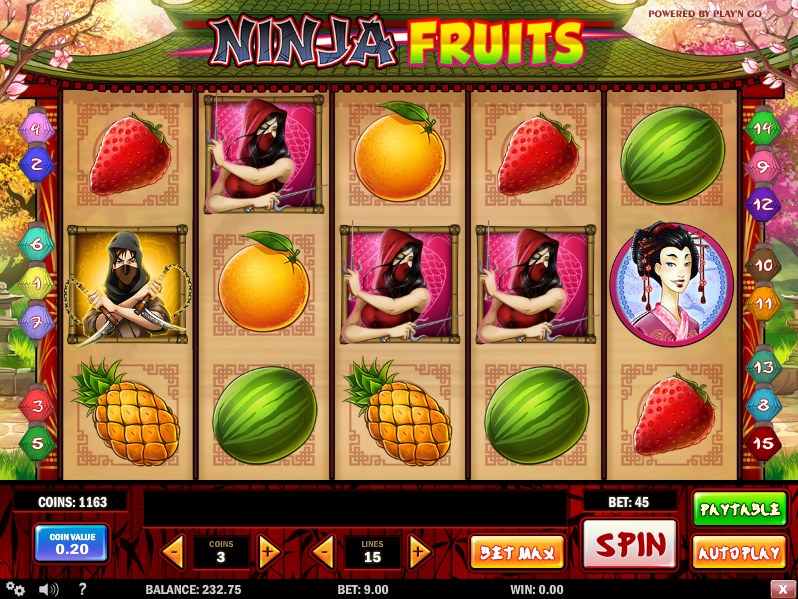 ninja-fruits-slot-gs